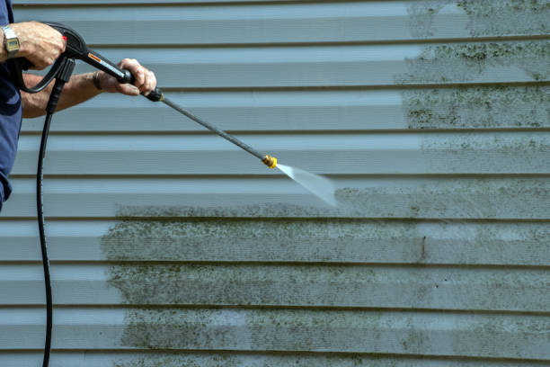 Best Residential Pressure Washing Services  in St Charles, IL